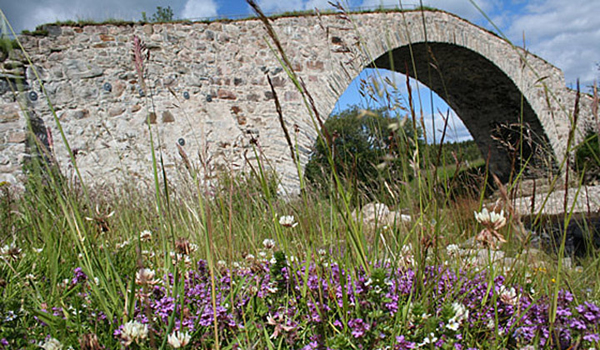 Walking - Hill Walking