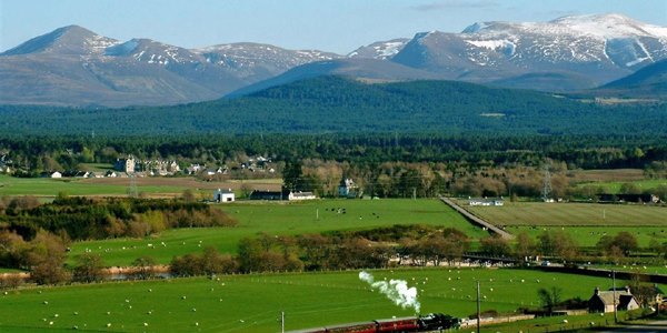 Nethybridge Nethybridge