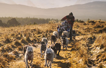 Cairngorm Sleddog Adventure Centre