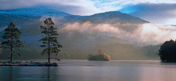 Rothiemurchus Estate