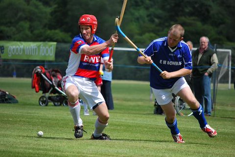 Shinty Shinty