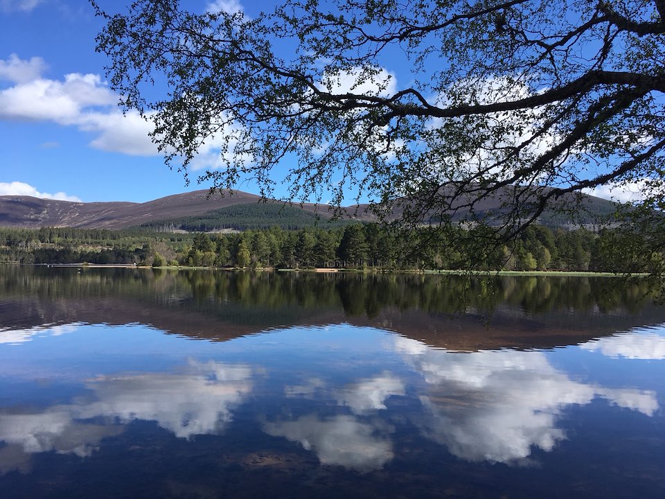 Sunny May in Aviemore?