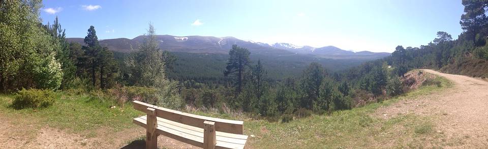 Blue route walking path, Glenmore