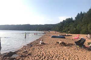 Loch Morlich Beach Loch Morlich Beach