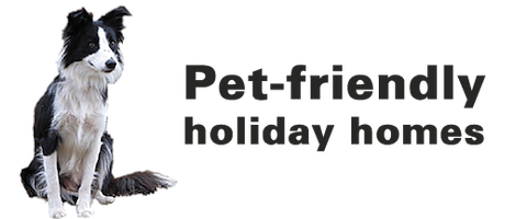 Bring your Pet! Bring your Pet!
