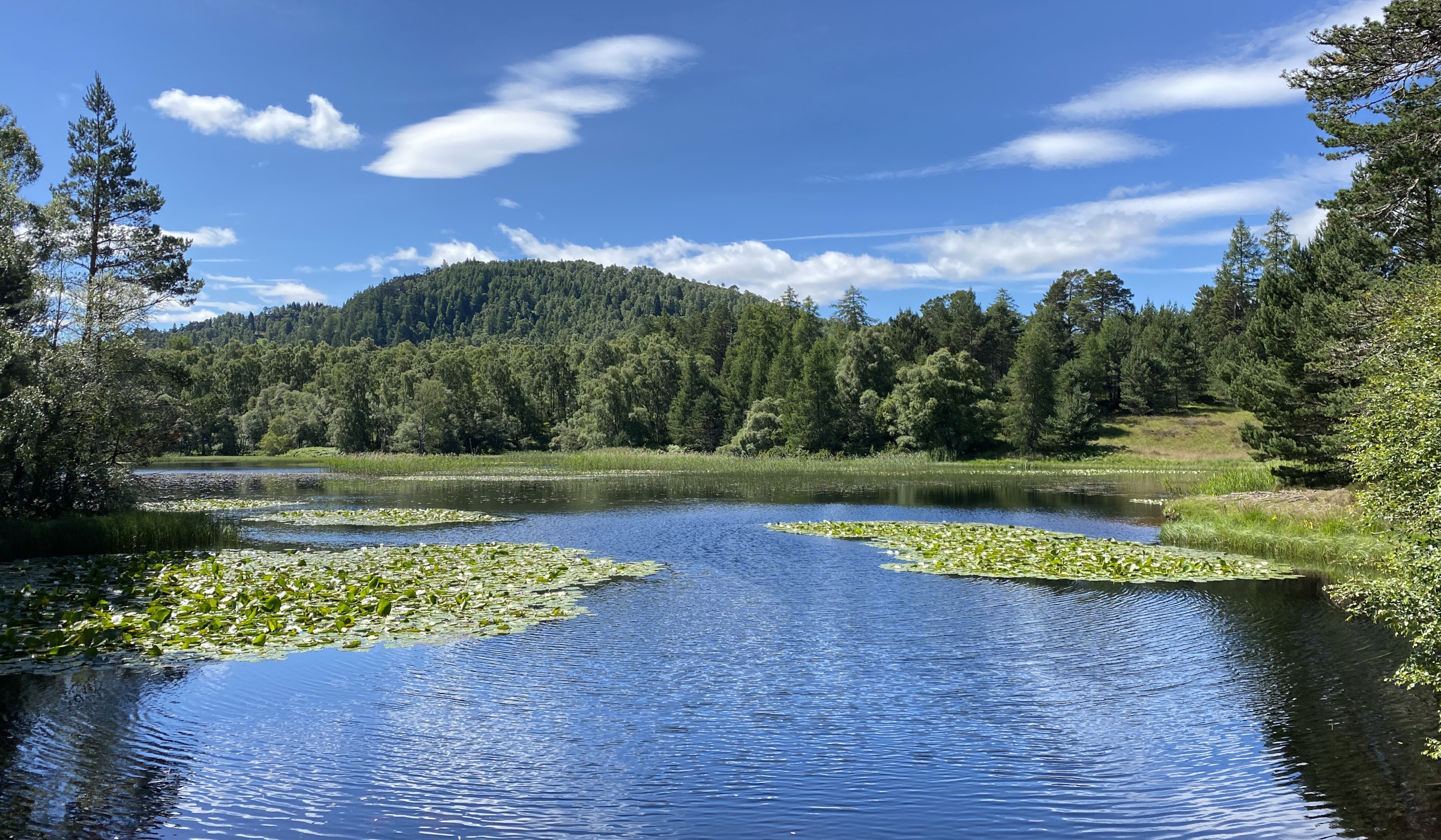 lilyloch.jpg