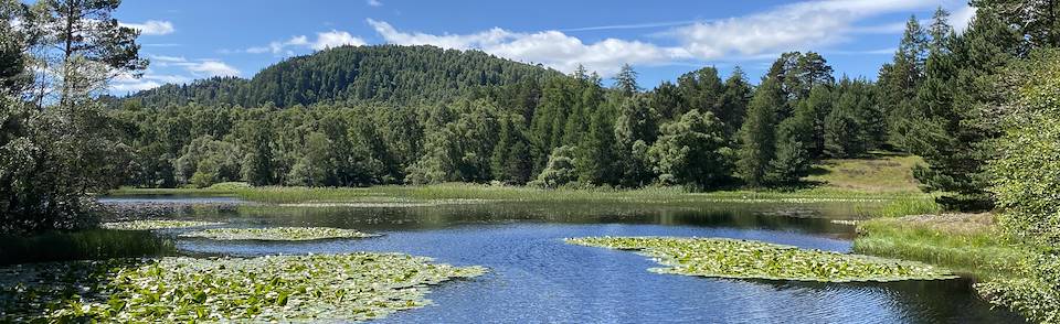 The Lily Loch (Lochan Mor)