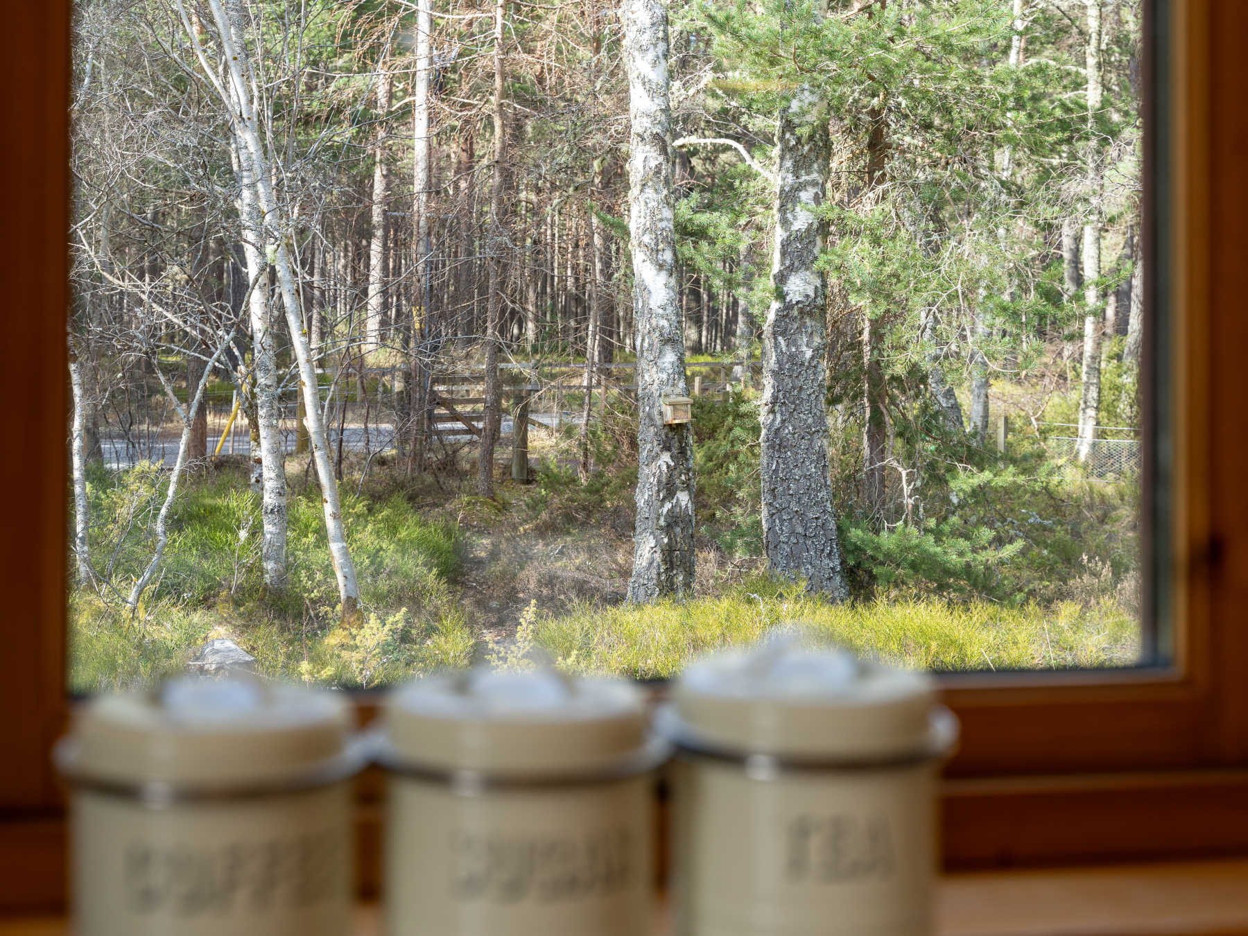 Photo of Osprey House