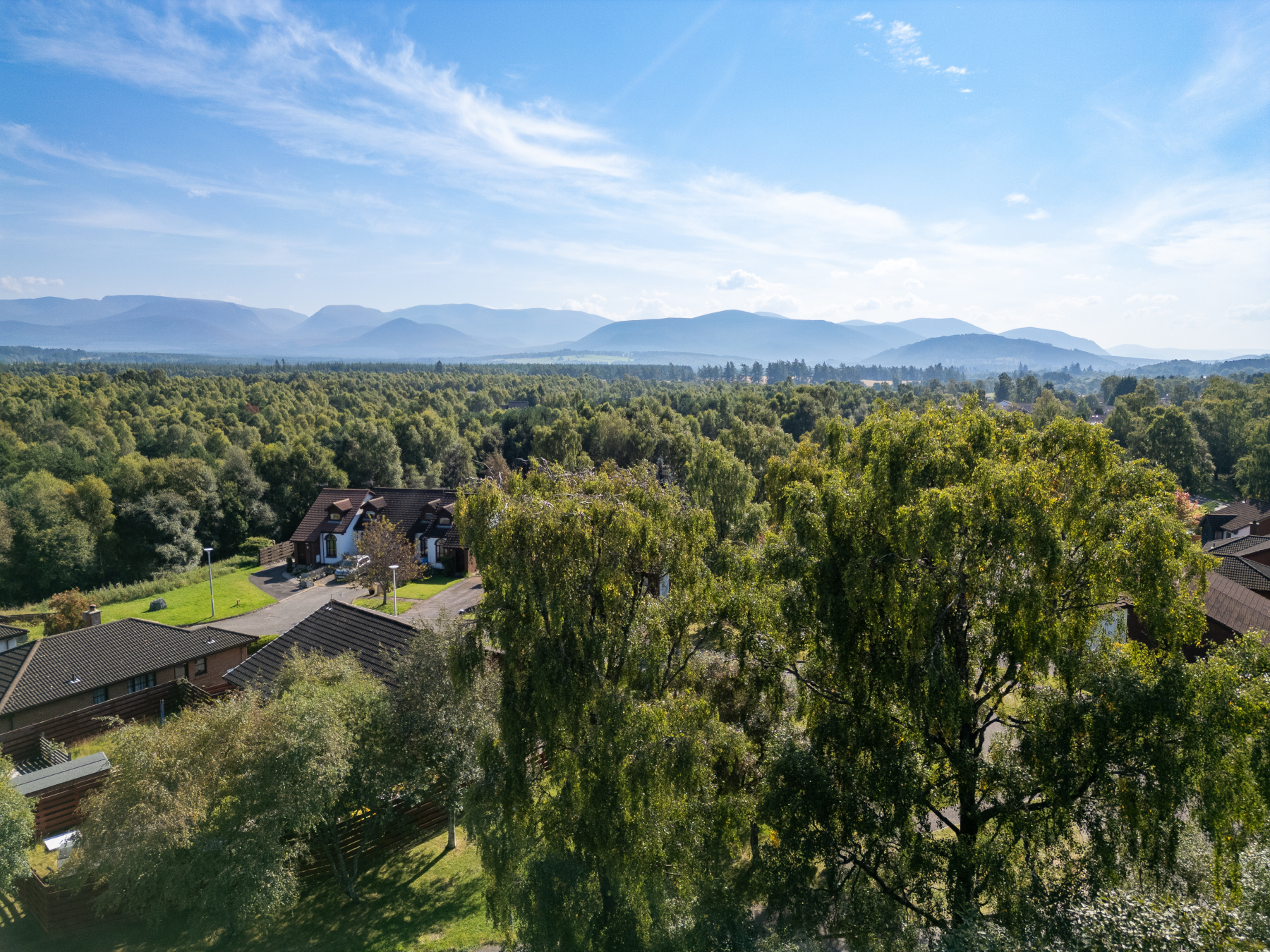 Photo of Glenfiddich