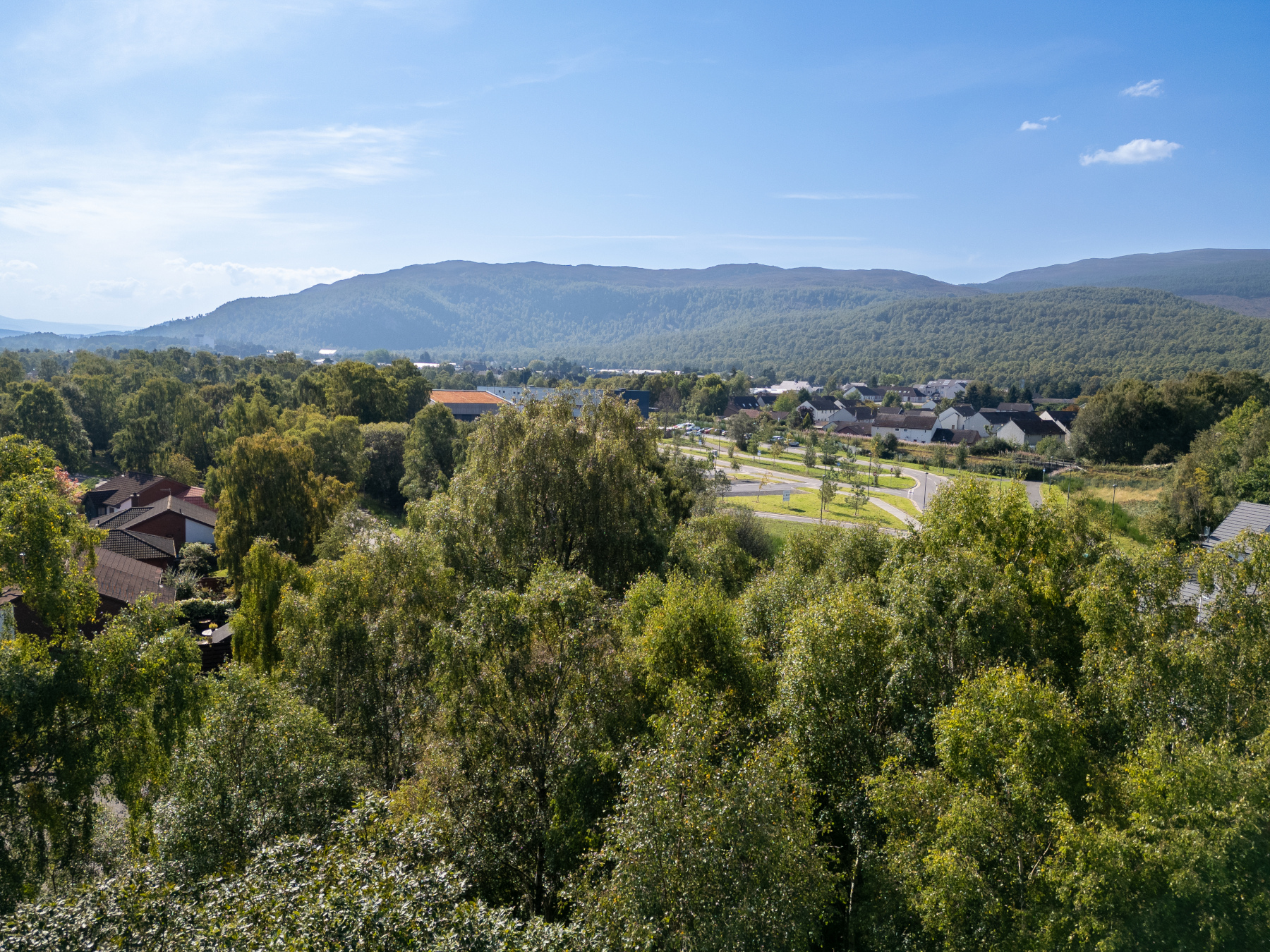 Photo of Glenfiddich