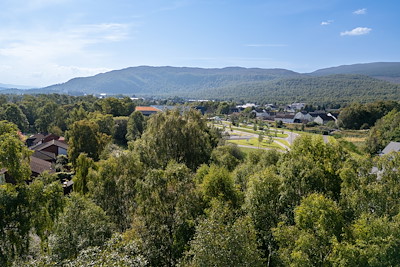 Glenfiddich Photo of Glenfiddich