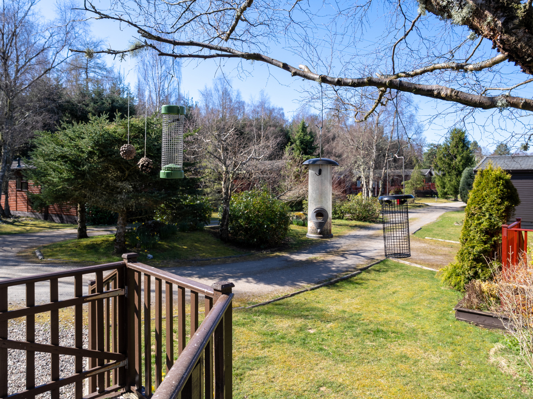 Photo of Woodpecker Lodge