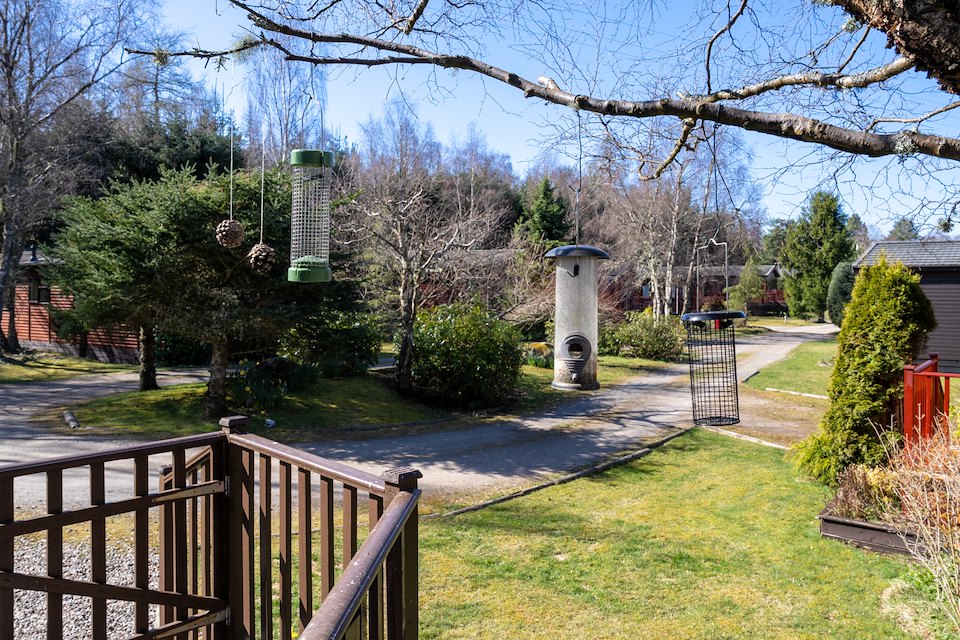 Woodpecker Lodge Photo of Woodpecker Lodge