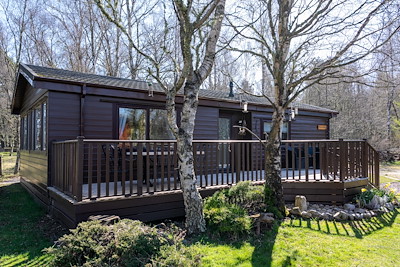 Woodpecker Lodge Photo of Woodpecker Lodge