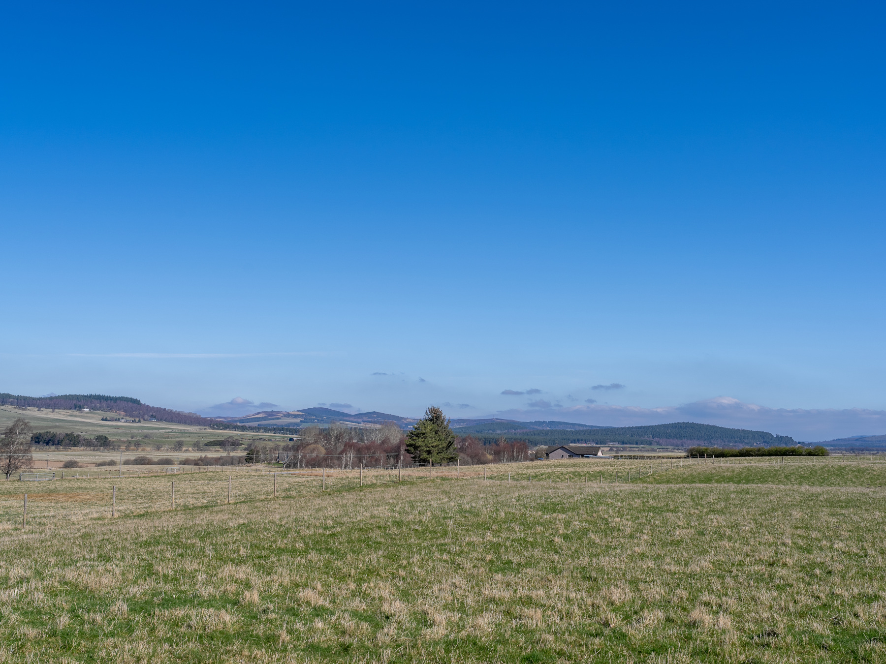 Photo of Capercaillie Lodge